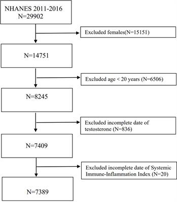 Increased risk of testosterone deficiency is associated with the systemic immune-inflammation index: a population-based cohort study
